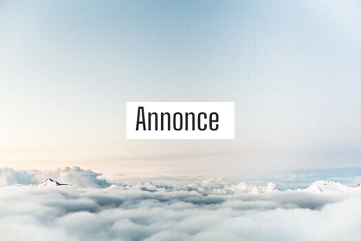 Gode alternativer til flymad på rejsen